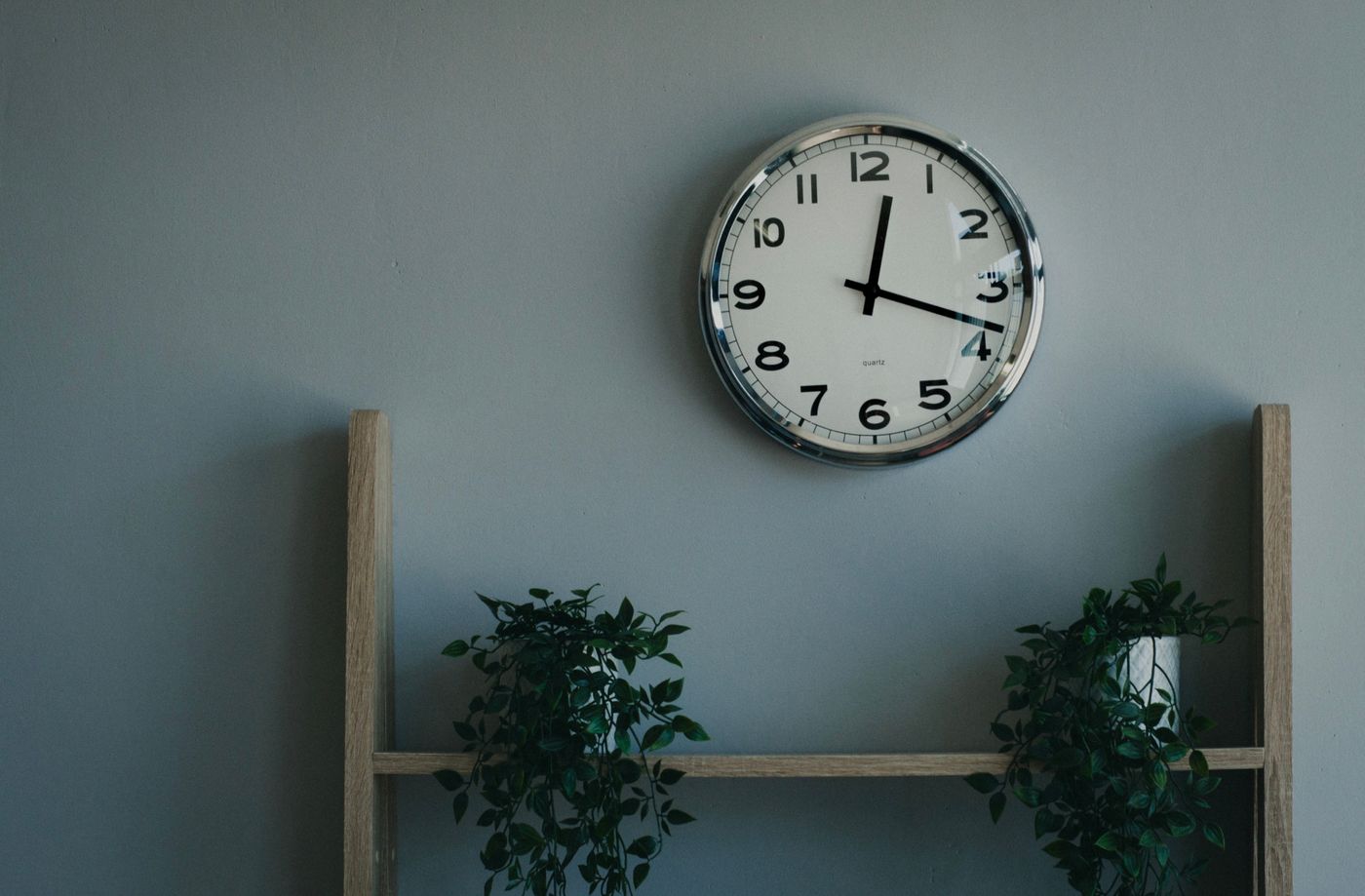 A numbered analogue wall clock above a wooden shelf and green plants